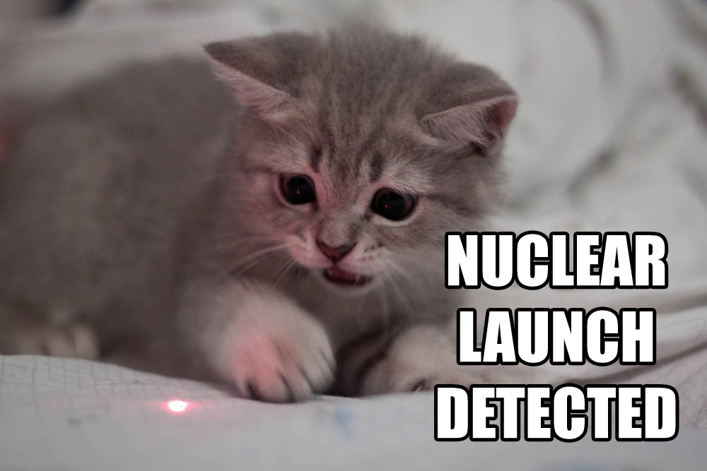 A meme image of a cat, with text saying 'Nuclear launch detected.'