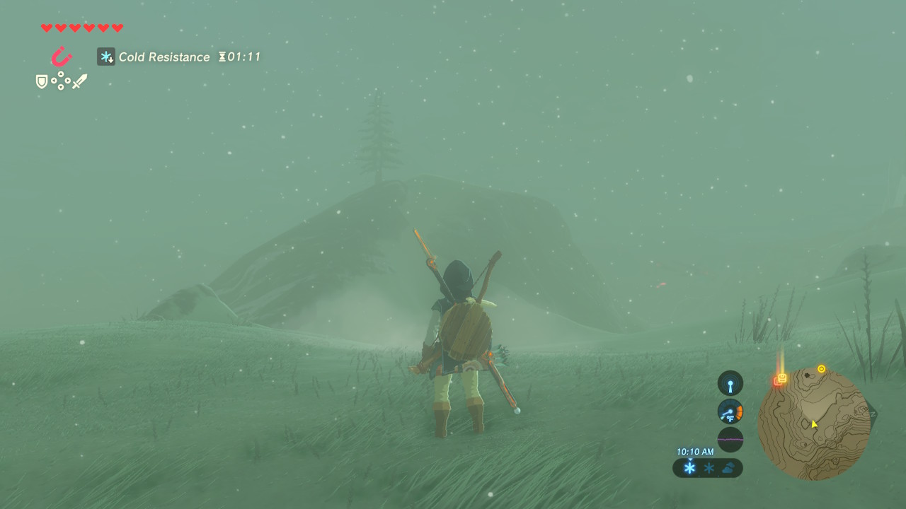 Link from Breath of the Wild standing in a snowstorm with minimal visibility in any direction.