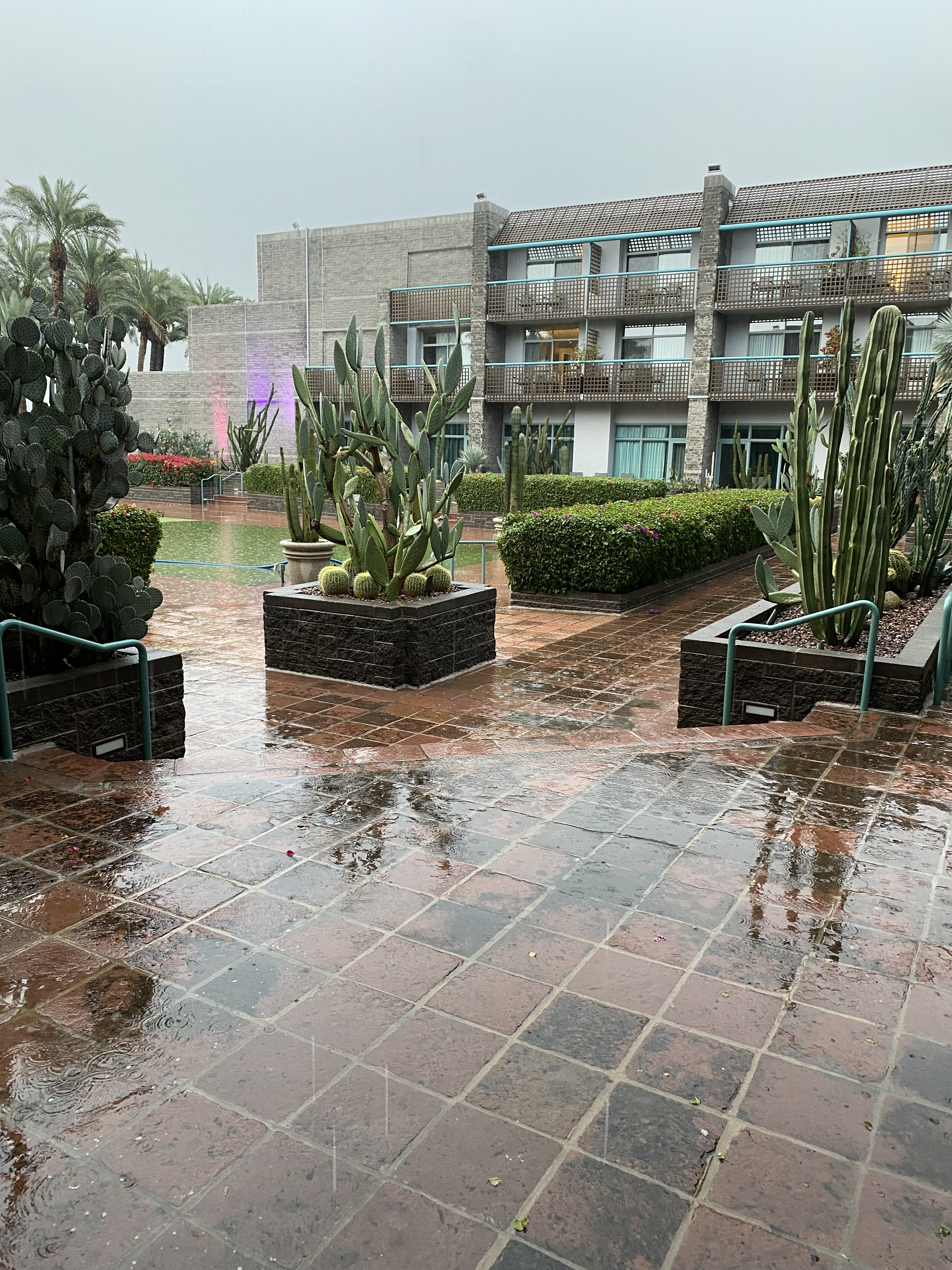 Photo of the outside of our Arizona hotel, where oddly enough it's raining.