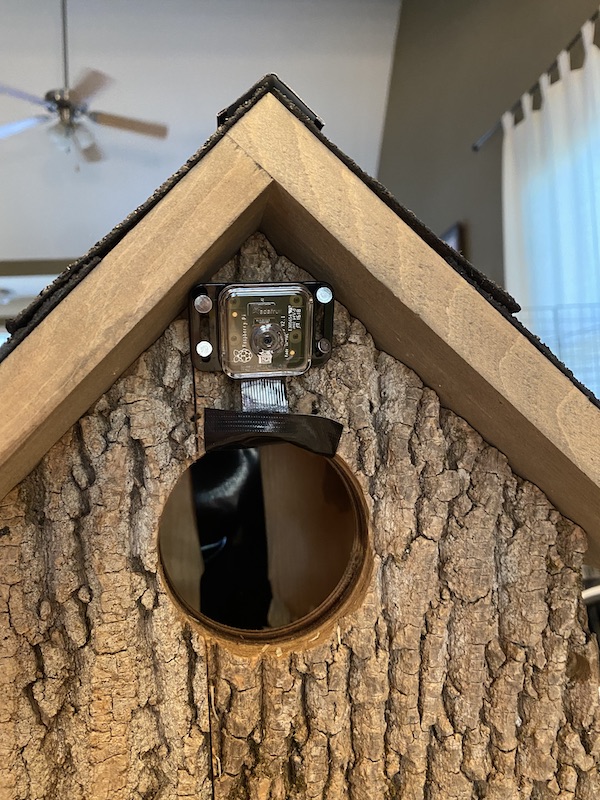The mounted Raspberry Pi NoIR v2 camera, just above the entry/exit hole for the birds, so that the camera ribbon can be run along the top and back of the birdhouse and protected with Gorilla tape, out of the way and hopefully uninteresting to any nesting birds.