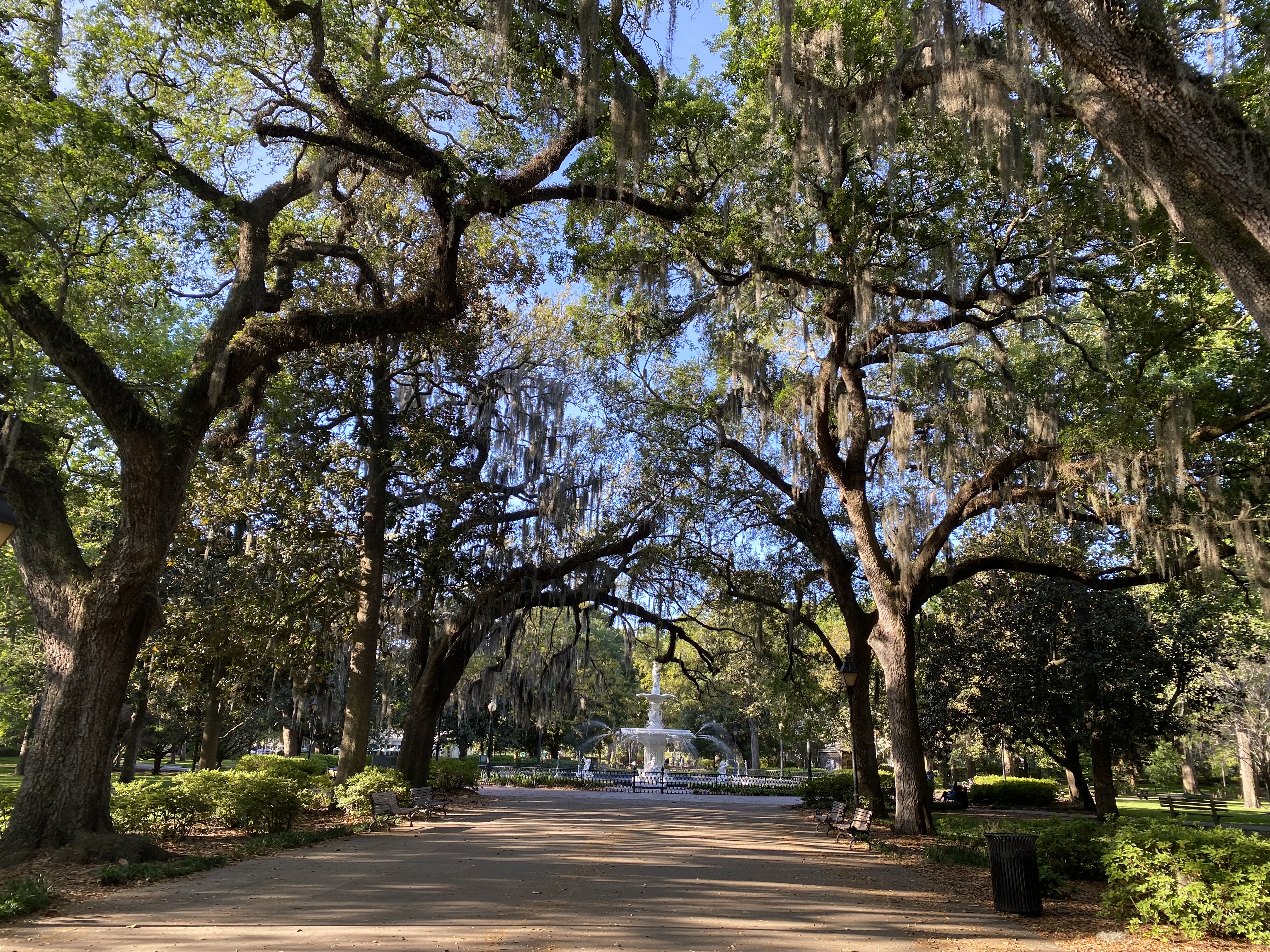 Head-on view of the middle of Forsyth Park in Savannah, GA, including the fountain in the middle and trees along both sides of the main walkway.