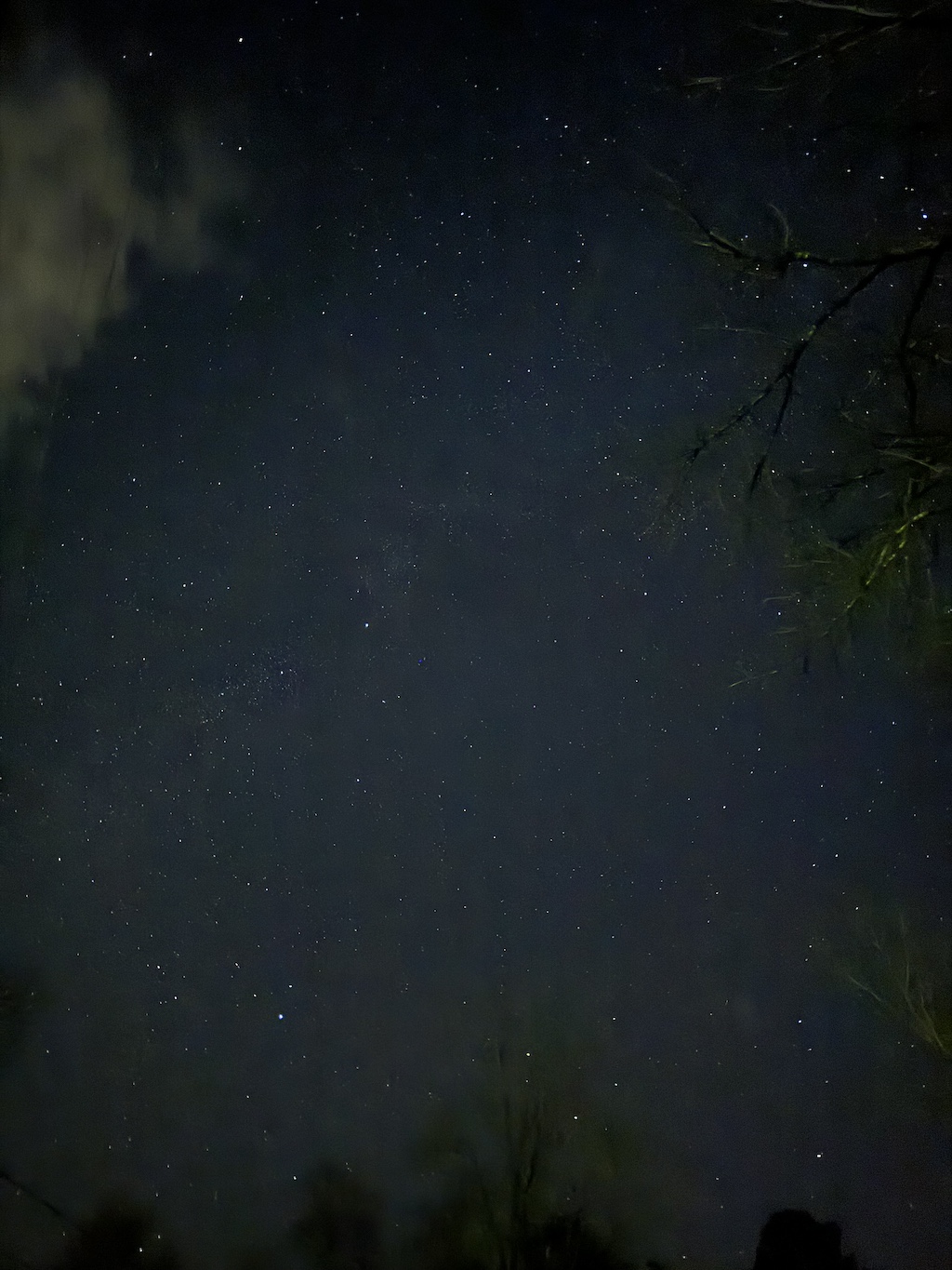 A nighttime shot of the stars, including a faintly-visible Milky Way.