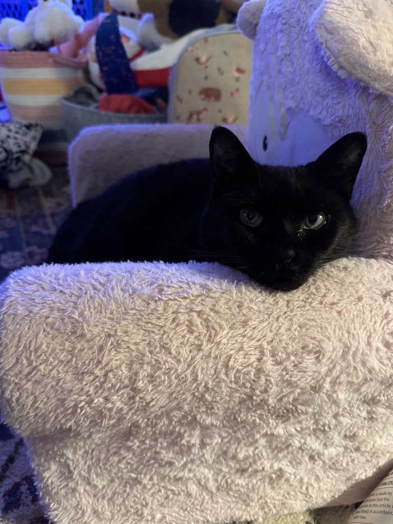 Picture of our black cat Zippy sitting in a chair intended for our 4yo, looking like she&#039;s the most relaxed any cat has ever been.