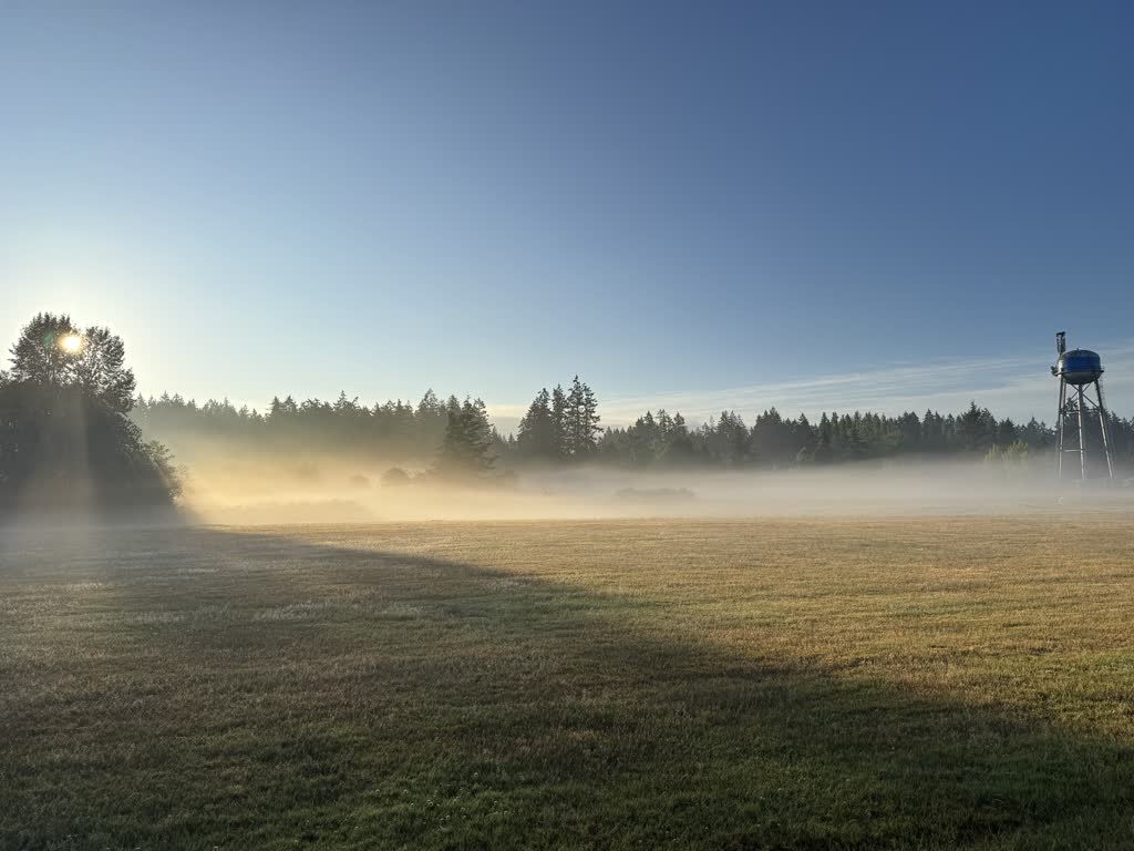 Foggy morning on a trail run around a park on Bainbridge Island. You can see the sun poking through the trees and the fog laying across a field with a water tower on the opposite side from the rising sun.